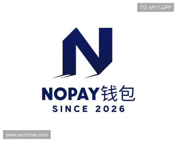 知道NOPAY钱包
